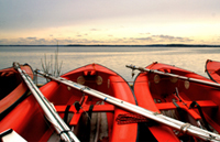 Rafts on Lake Mendota